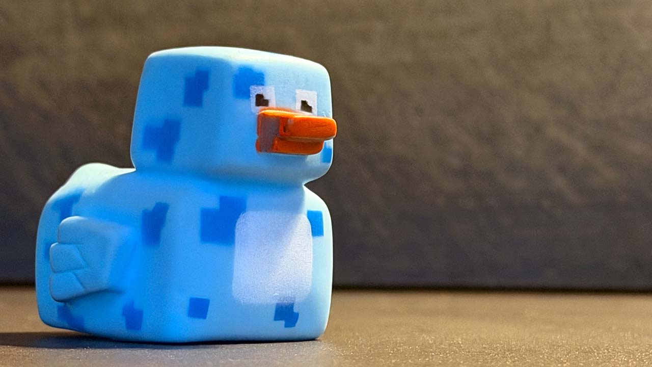 Rubber Duck Debugging landscape